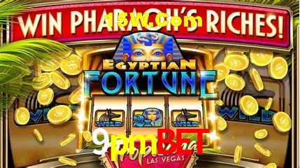 Descubra o Programa VIP da 9pmbet: Vantagens Exclusivas para Jogadores